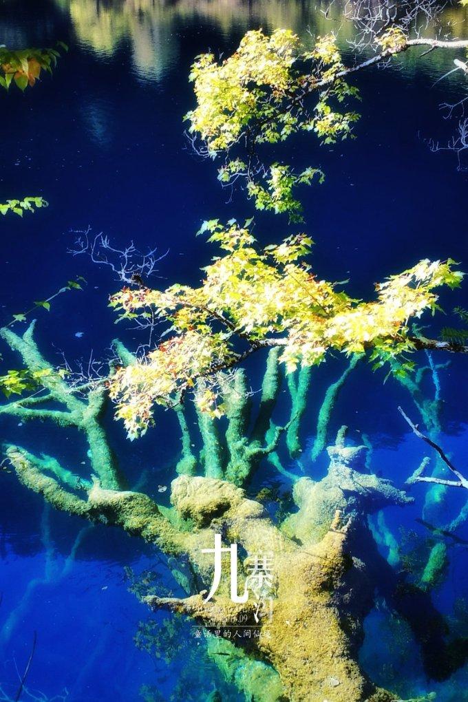 芭比一字肩