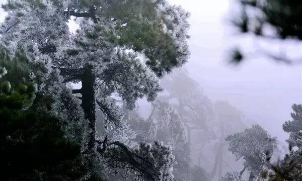 老旧废弃楼房逃脱5