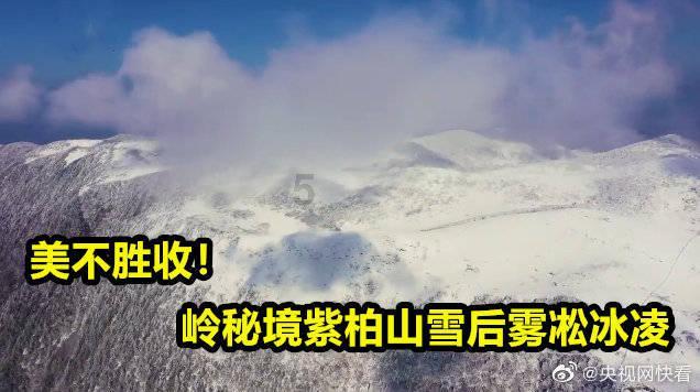 龙腾世纪审判