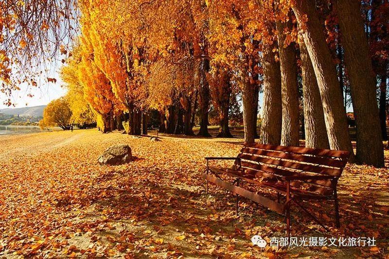 春运期间火车票已累计发售超1.4亿张
