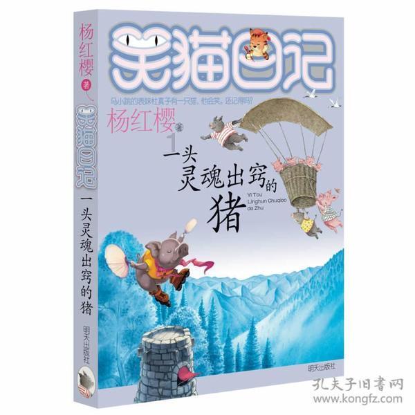 TFboys双人排球