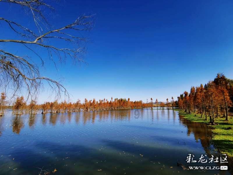 洋葱能怎么吃？游戏画面