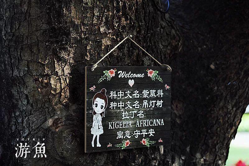 进化之地2