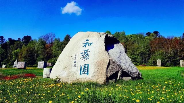果果大作战