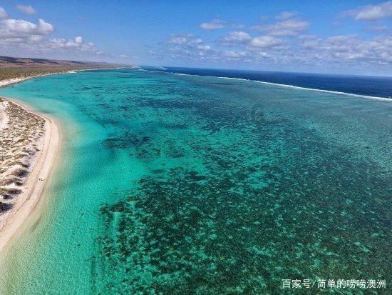 山珍年味“醉”乡愁,湖北通山首届年货节开幕