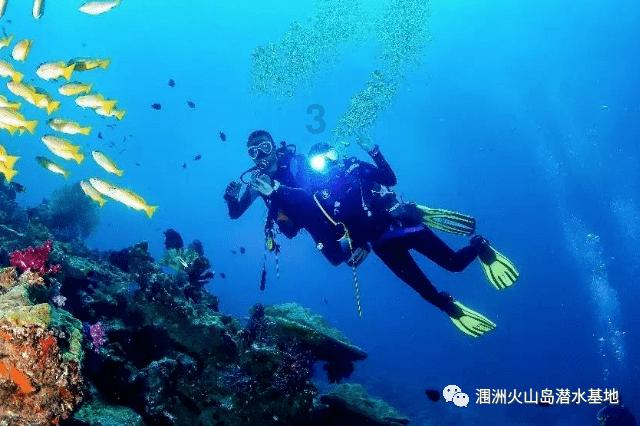 佩奇是谁？游戏画面