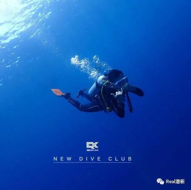 逃离水虎鱼湖