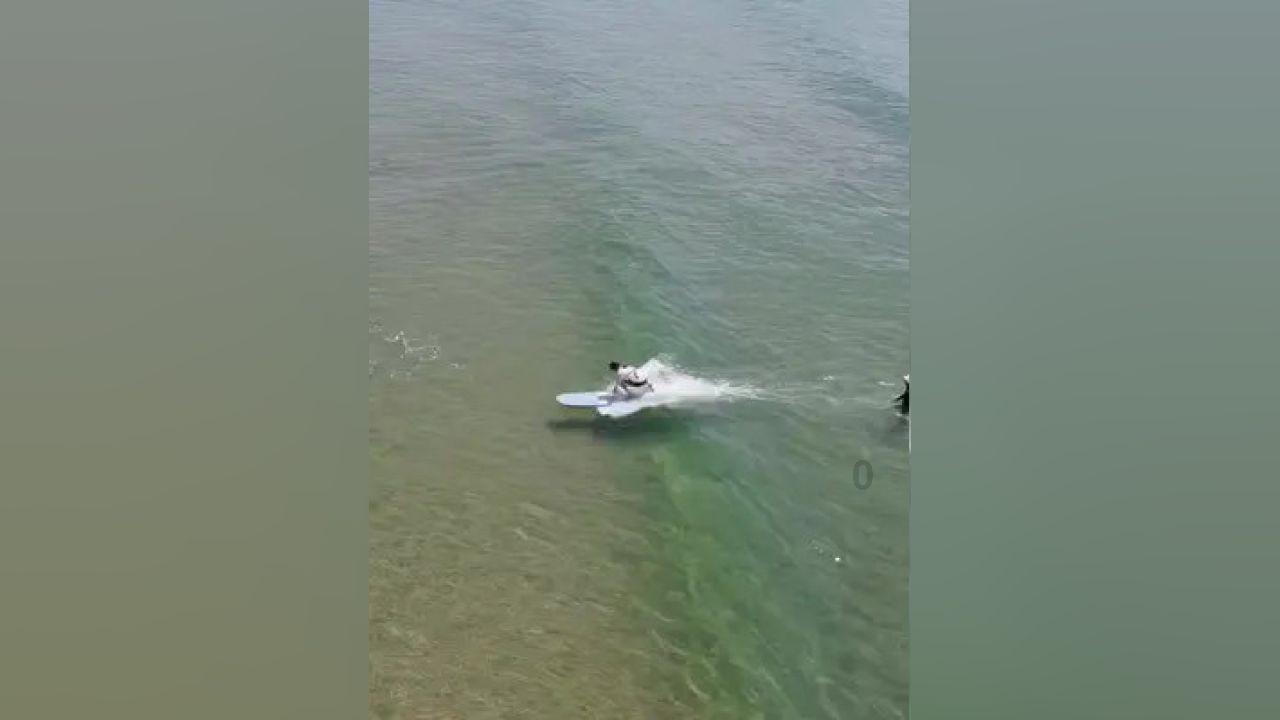 卡通汽车涂颜色