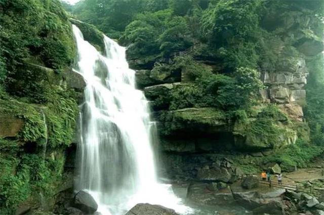 虫虫助手下载